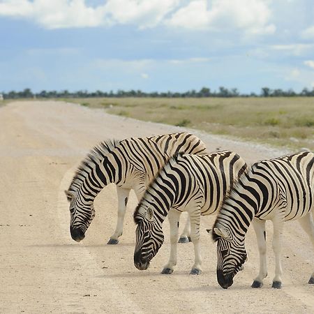 Etosha Village Okaukuejo Exterior photo